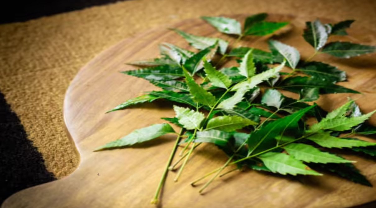 neem fish health