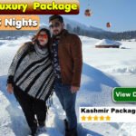 Kashmir Trip Package 2025